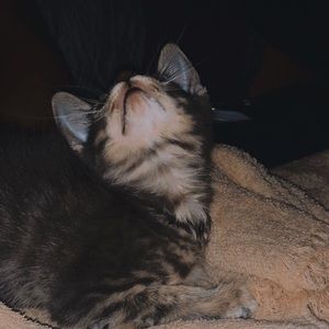 Meet your Posher, Colby